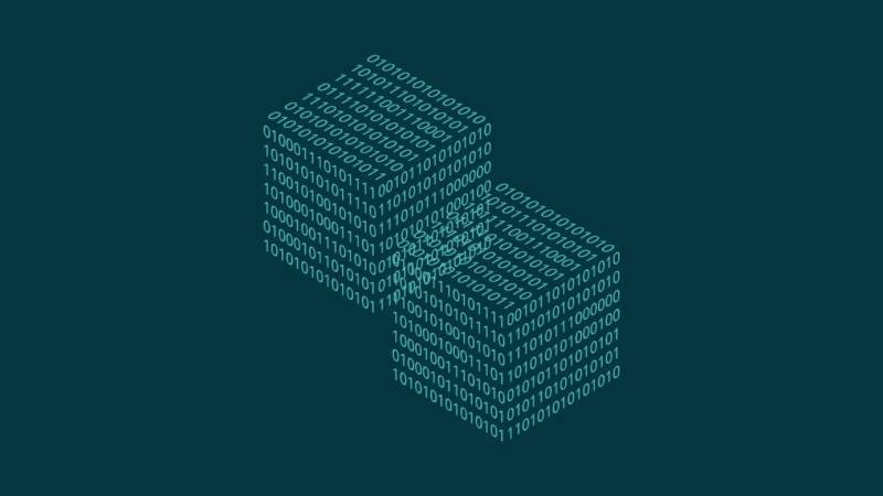 临武县信创改造:网络应用开发流程标准化的核心路径与实践